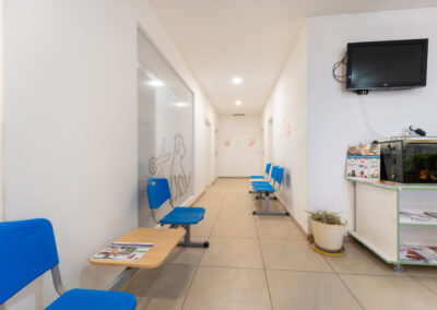 veterinar-ilustrace Čekárna veterinární kliniky.