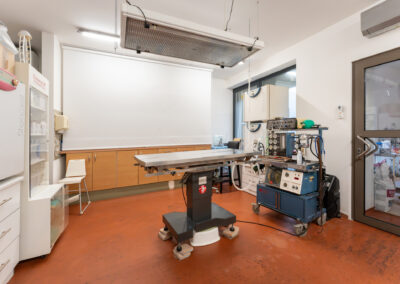 Plně vybavená veterinární ordinace.