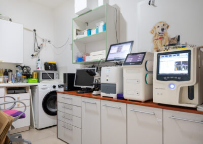 Plně vybavená veterinární ordinace.