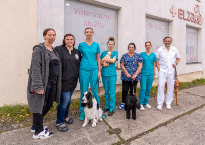 Tým veterinářů kliniky Elza v Kolíně.