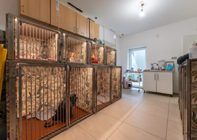 Prostorný hospit pro zvířecí pacienty.