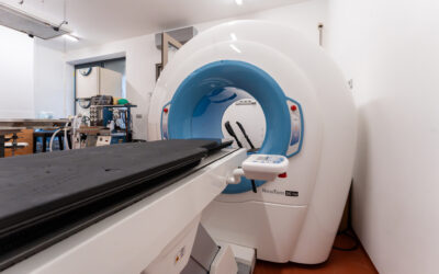 veterinar-ilustrace CT vyšetření: Přesná diagnostika pro zdraví vašich mazlíčků