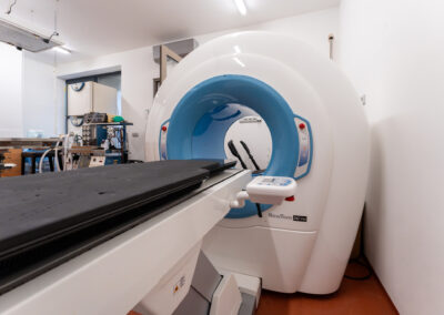 veterinar-ilustrace CT pro vyšetření akutních stavů.